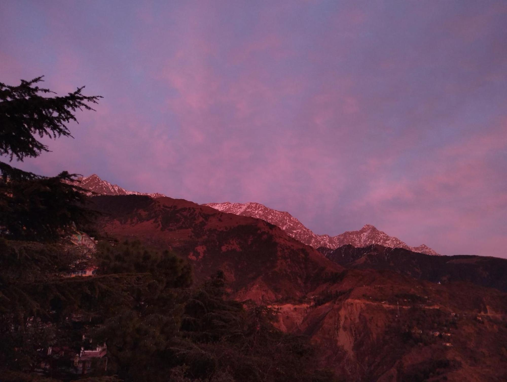 Verma Guest House Dharamshala Ngoại thất bức ảnh